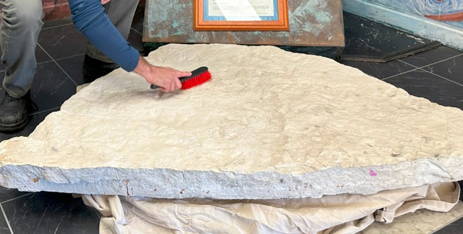 динозаври, сліди динозаврів, динозаври сліди