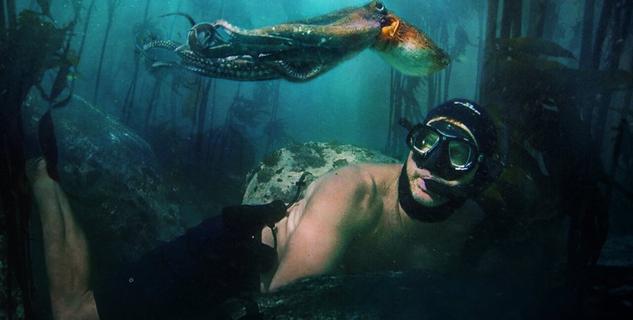 кино, оскар, документальный фильм, мой учитель - осьминог, премия