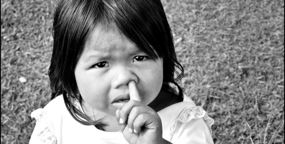 Ніс, хвороби, етикет, дослідження, мозок