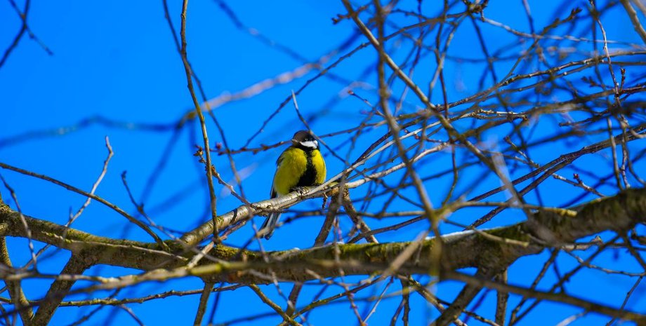 Погода завтра в Украине будет сухой и местами солнечной Погода завтра в Украине будет сухой