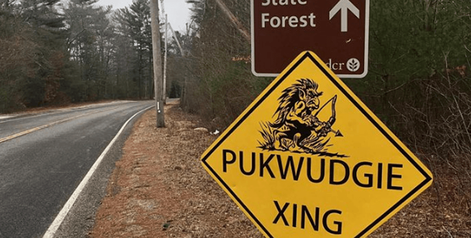 поліція, бриджуотерський трикутник, знак, ліс, пакваджі