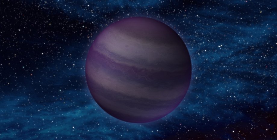 Фото: zooniverse.org