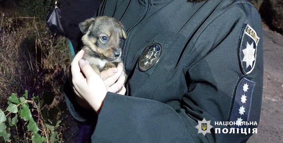 Одесская область, обстрел, ВС РФ, ракетный обстрел, обстрел Одесской области, обстрел городов Украины, обстрел Украины, Белгород-Днестровский район, Нацполиция