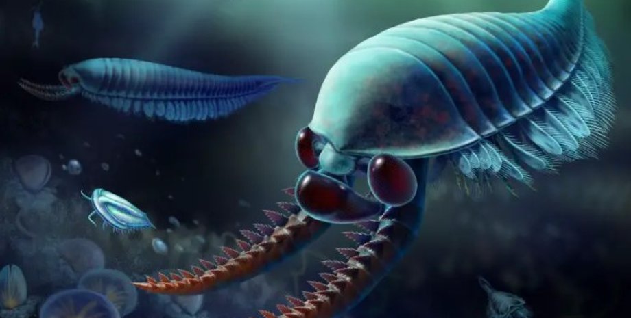 килинксия, членистоногое