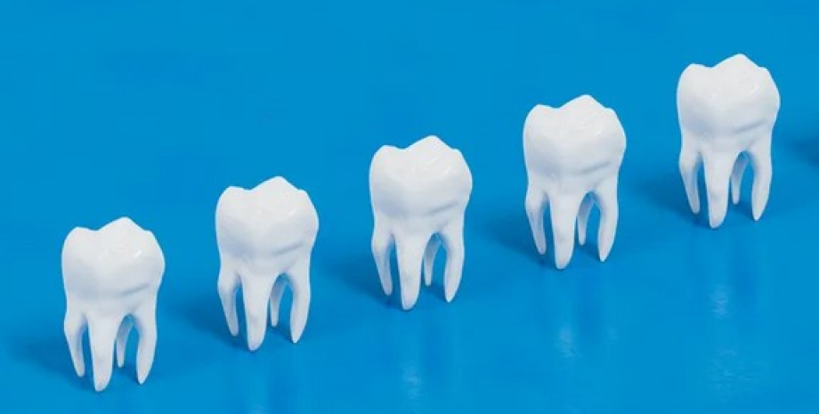 зубы Замена пломбам и имплантам: новый материал помогает создать настоящие зубы в лаборатории0