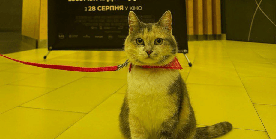 фильм "2000 метров до Андреевки" украинский прокат