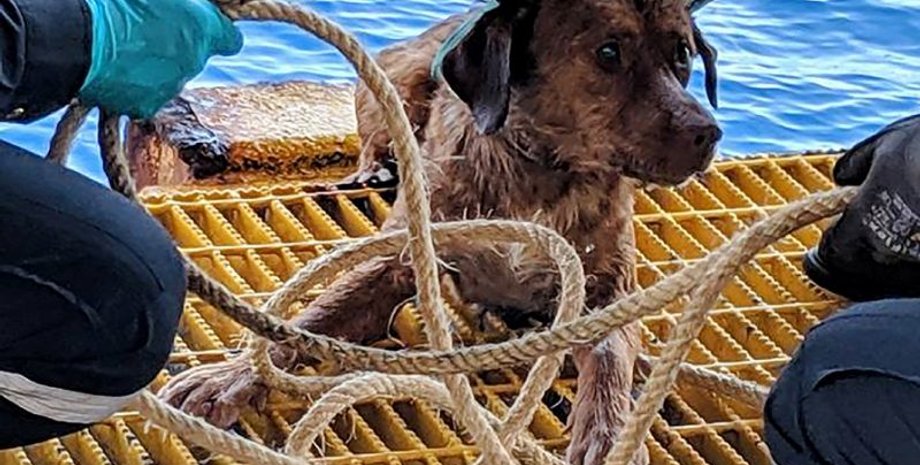 Фото: Facebook Vitisak Payalaw