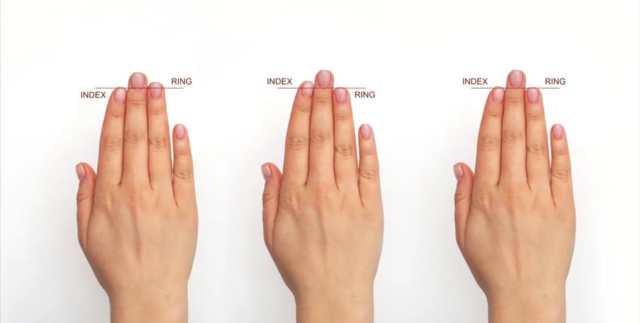 пальцы, длина пальцев, алкоголь длина пальцев