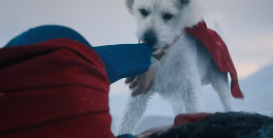 Супермен 2025, трейдер Супермен, Супермен Джеймс Ганн, Супермен продолжение, Супермен пес Крипто, Супермен спасение