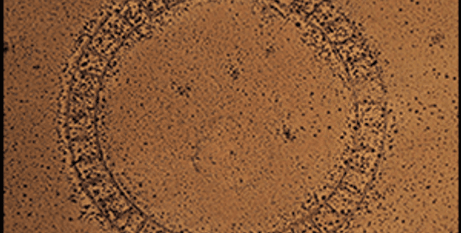 васкири, древние люди, исследование, история, анды, горы анды, структура, ритуал, предки, мумифицированные тела