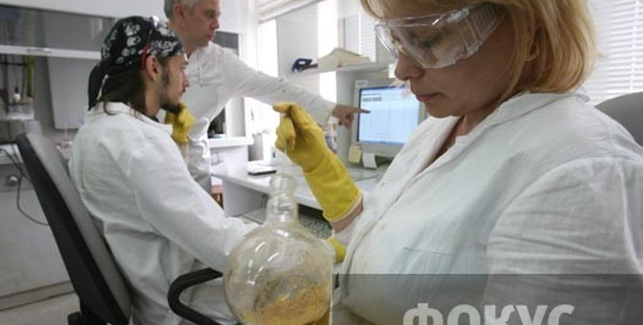 Фото: Дмитрий Стойков, Фокус