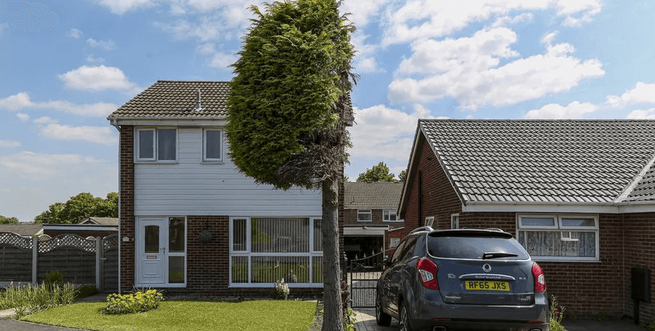 В Великобритании дерево, распиленное пополам из-за ссоры соседей, до сих пор привлекает туристов