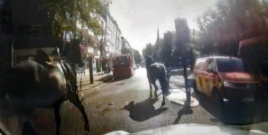 лошади, сбежавшие лошади, лондон