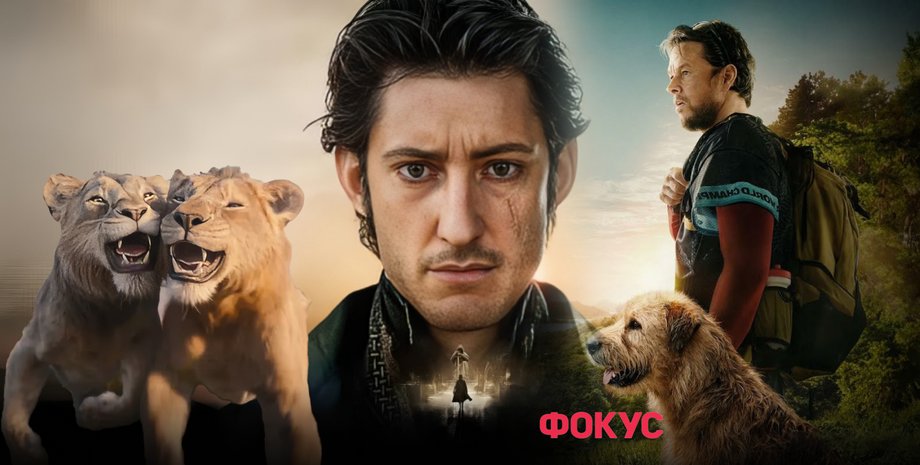 колаж, кадри з пригодницьких фільмів 2024 року