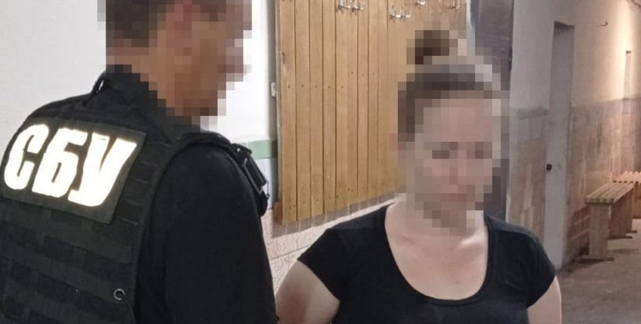 сбу, підпал, олександрія, затримання, жінка