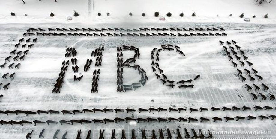 Фото: naiau.kiev.ua