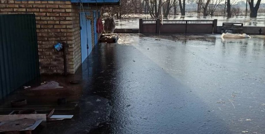 Село Демидов