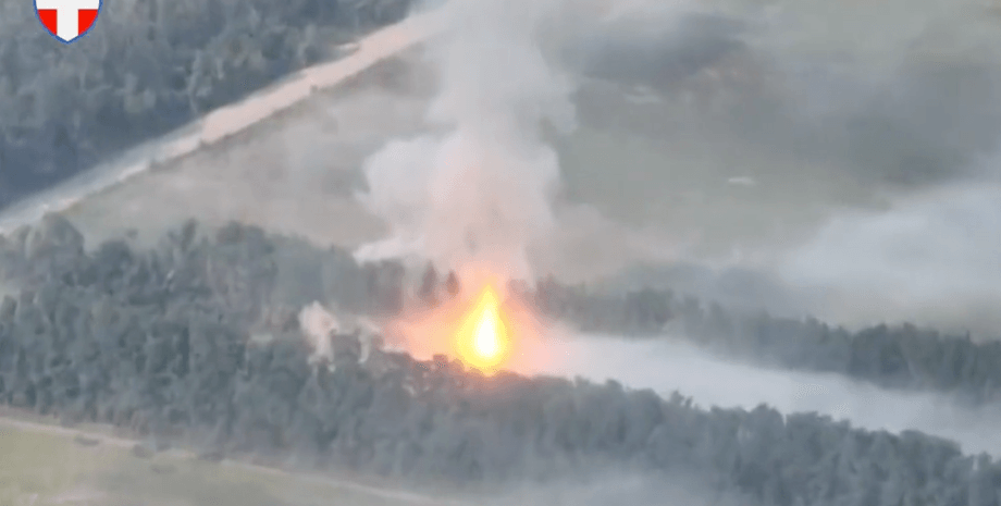 знищення тюльпану