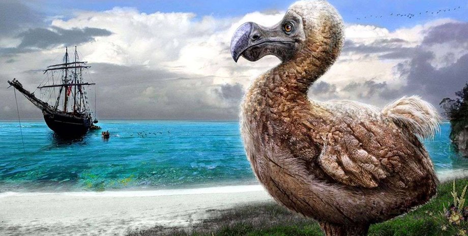 вымершие виды животных, исчезнувшие животные