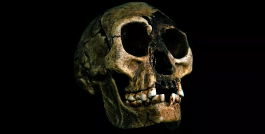 гобіти, стародавні люди, Homo Sapiens, Homo floresiensis, вимерлий вид