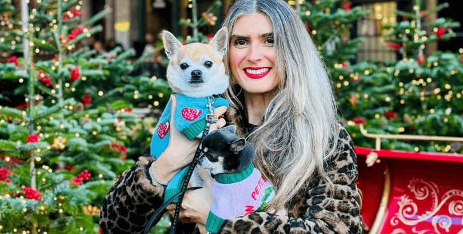 женщина, собаки, елки, чихуахуа