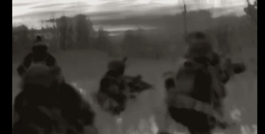 рдк, Денис Никитин, White Rex, ЧВК Вагнер, Бои в РФ и участие добровольцев, Свобода России, Сибирский батальон