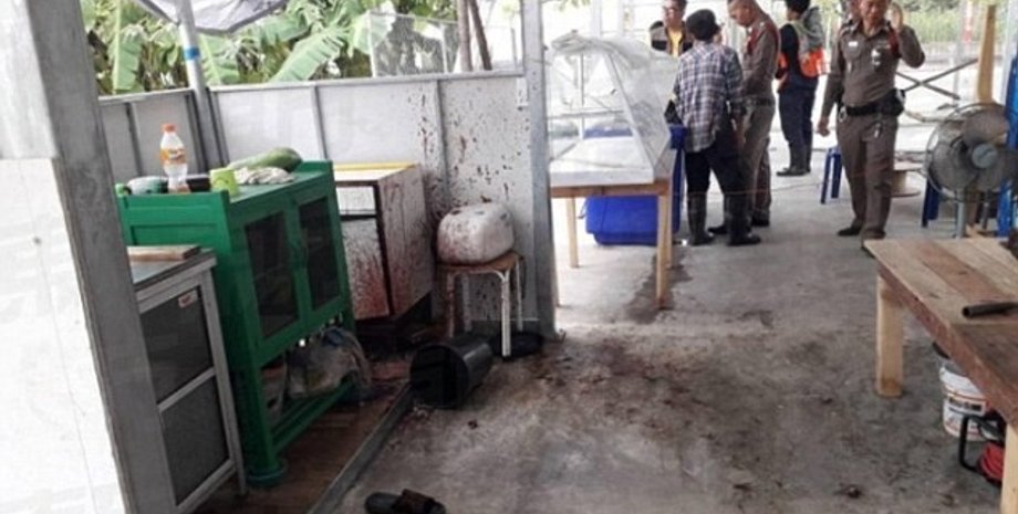 Фото ladbible.com