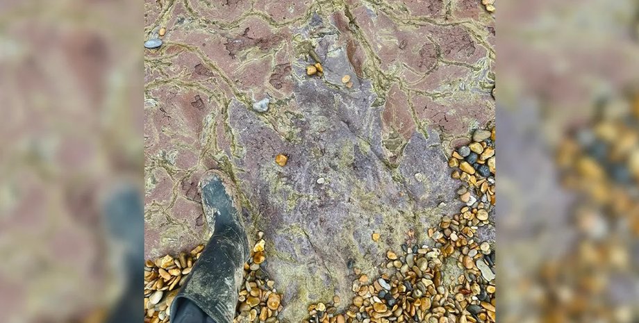 динозавр, відбиток динозавра