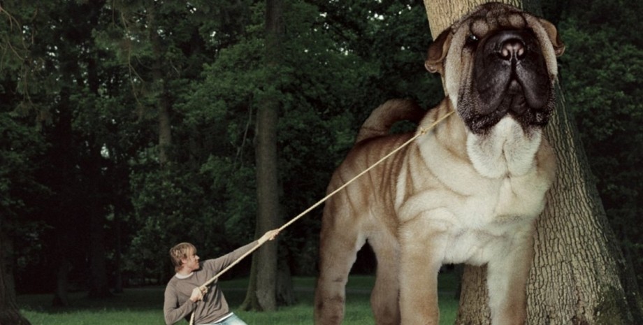 тварини атака титанів, тварини, ссавці, динозаври, гігантські тварини, фантастичні фільми, загибель динозаврів, будова організму, біологія, дослідження, мезозой