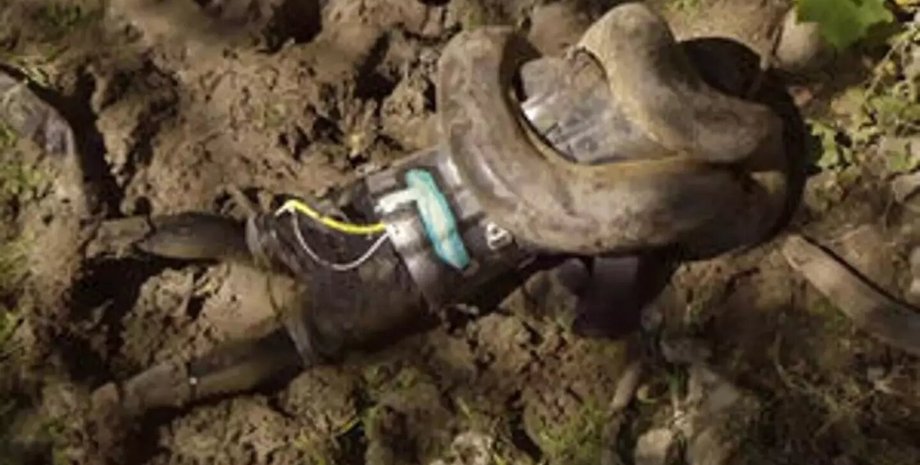 амазонка, анаконда, змея, трюк, костюм