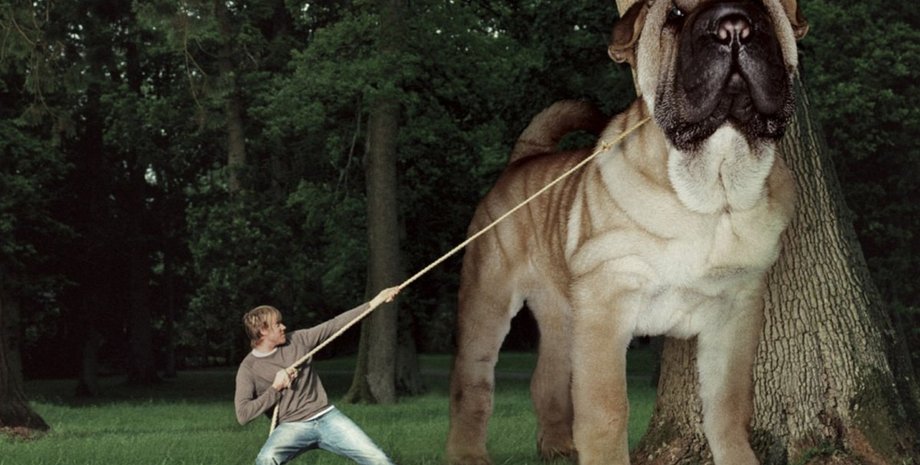 атака титанов, животные, млекопитающие, динозавры, гигантские животные, фантастические фильмы, гибель динозавров, строение организма, биология, исследования, мезозой