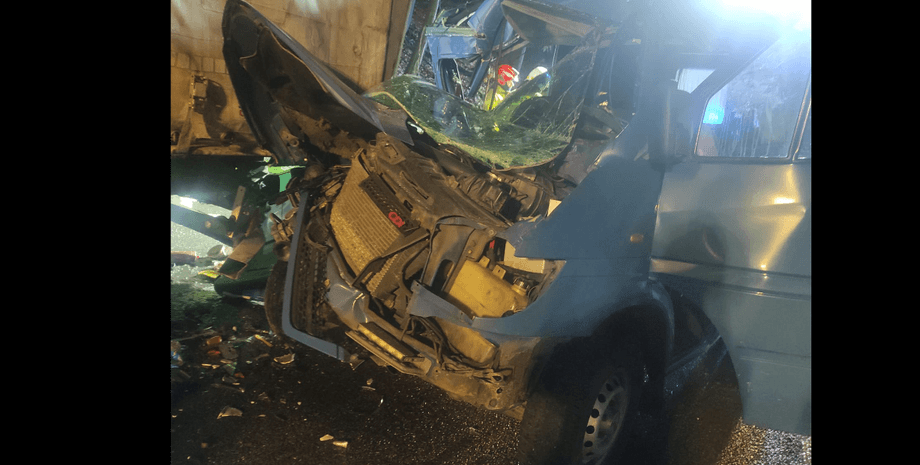 дтп, польща, мікроавтобус