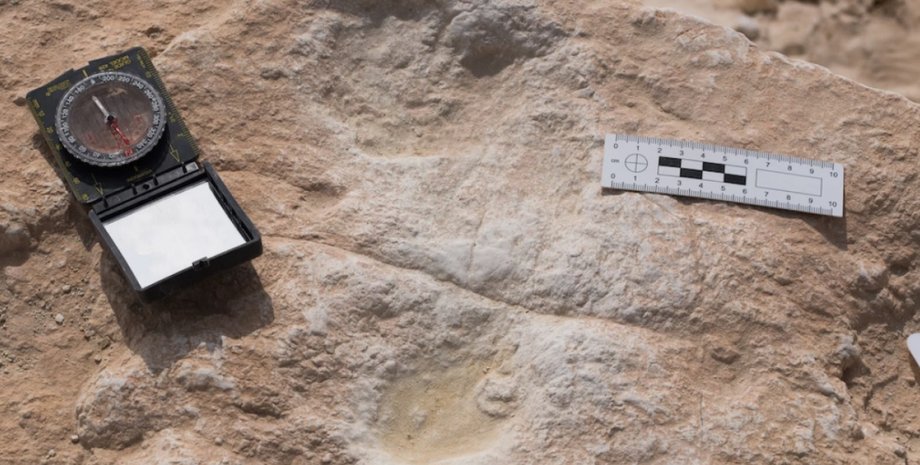 Фото: Palaeodeserts Project