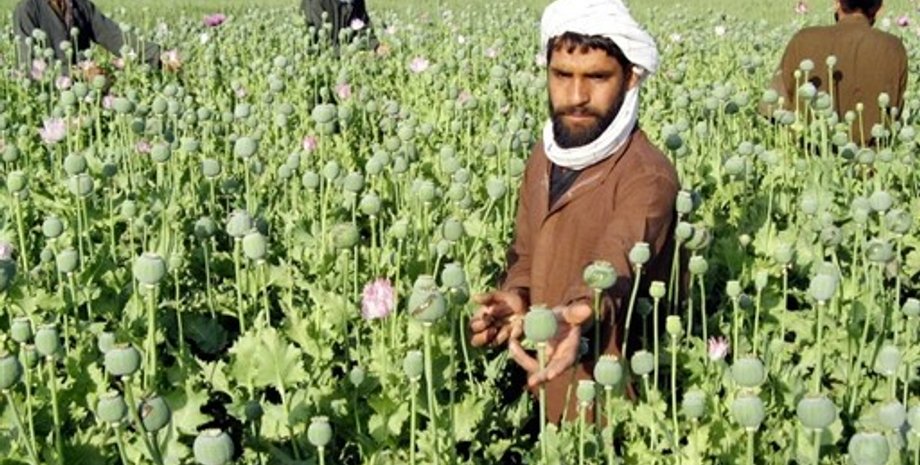 Фото: polblog.ru