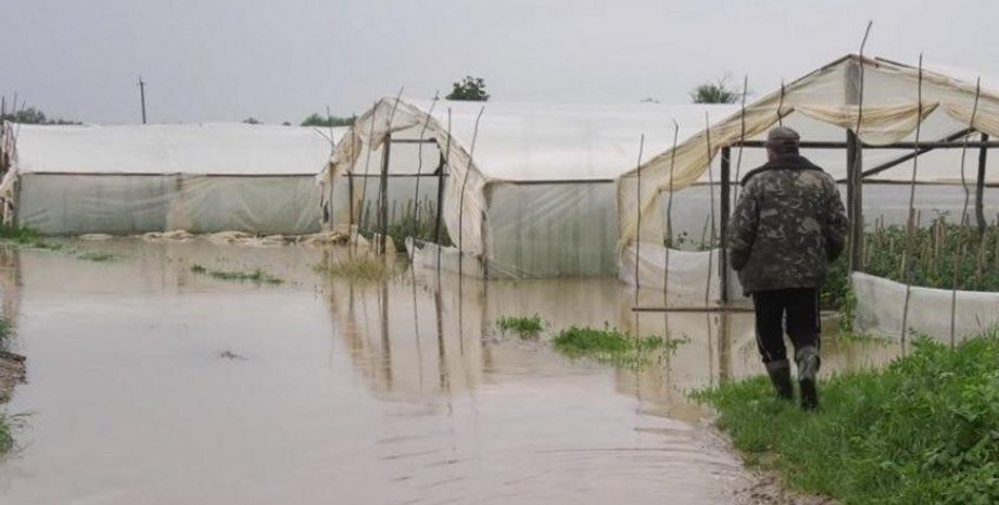 Фото: Закарпатская ОГА