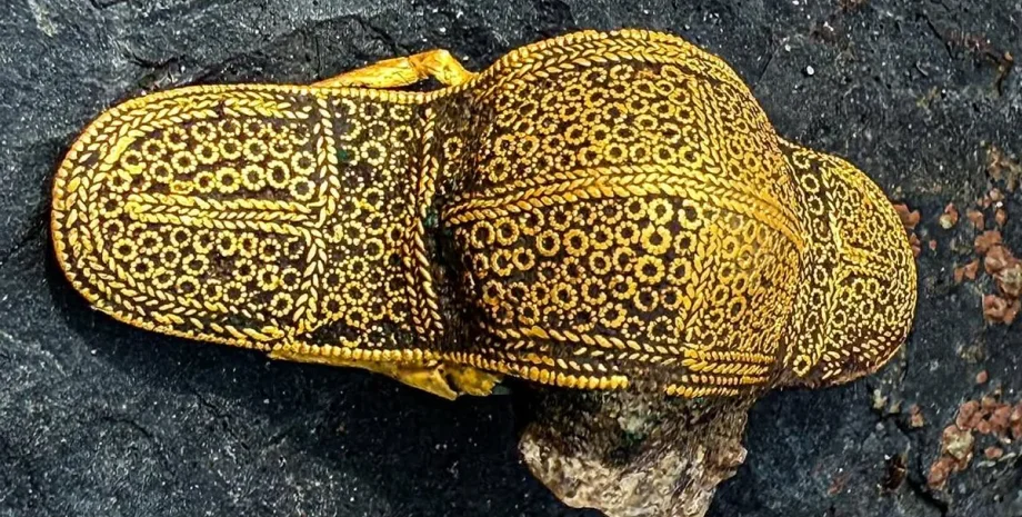 Золотий артефакт знайшли за допомогою металошукача