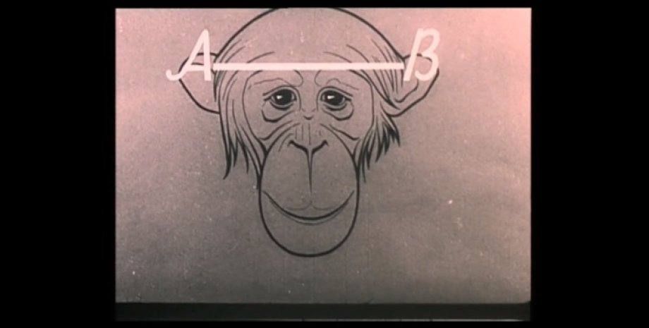 Кадр из фильма "Человек и обезьяна" / Фото: dovzhenkocentre.org