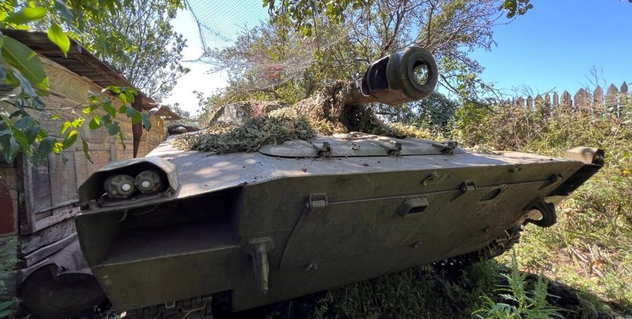 сау гвоздика