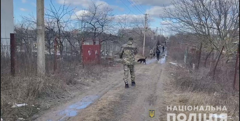 Убийство, полиция, Одесская область, убила топором, муж