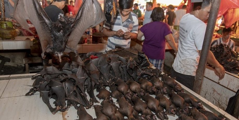 рынок, китай, ухань, коронавирус