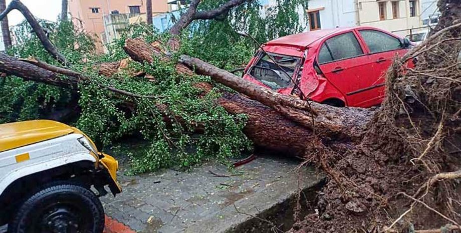 Фото: banglanews24.com