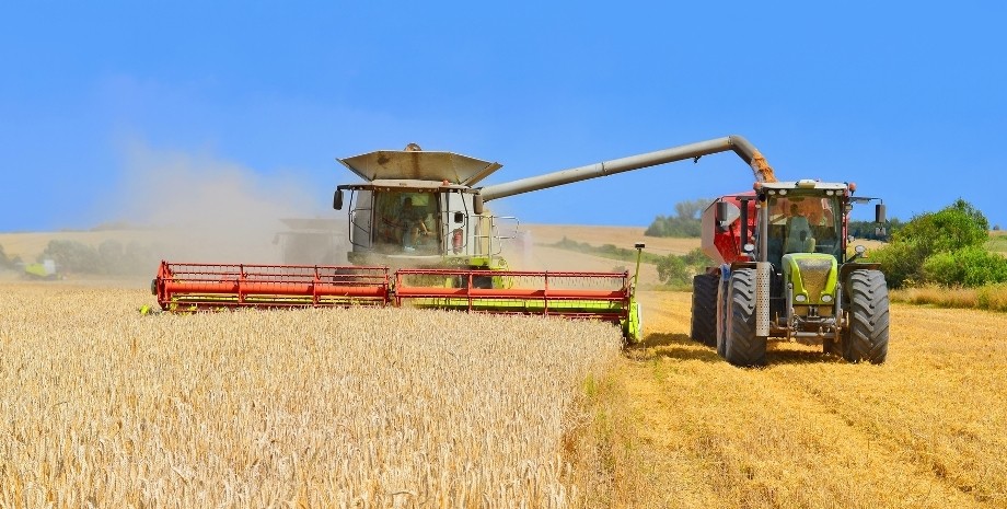 урожай, зернові, прогноз, 2021, мінекономіки, фото, пшениця