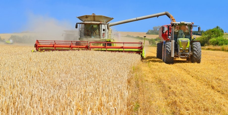 голод, экспорт, Украина, война