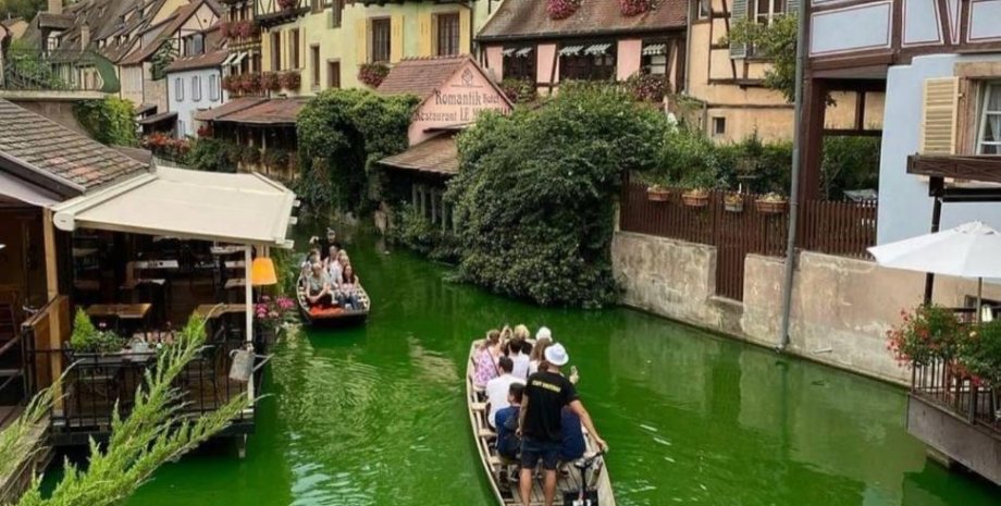 Экоактивисты, Франция, токсичные отходы, покрасили воду в зеленый, отравили рыбу