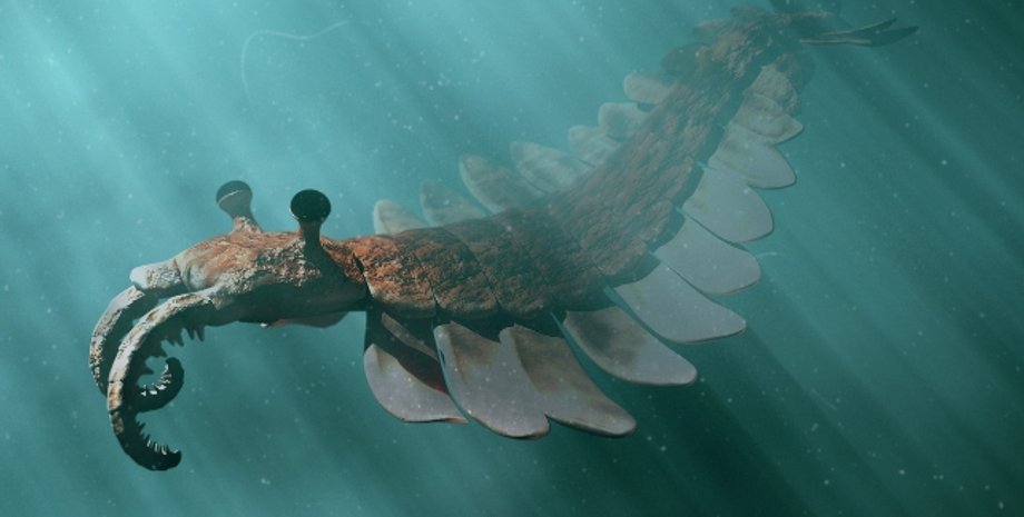 кембрийский период, кембрийский период животные