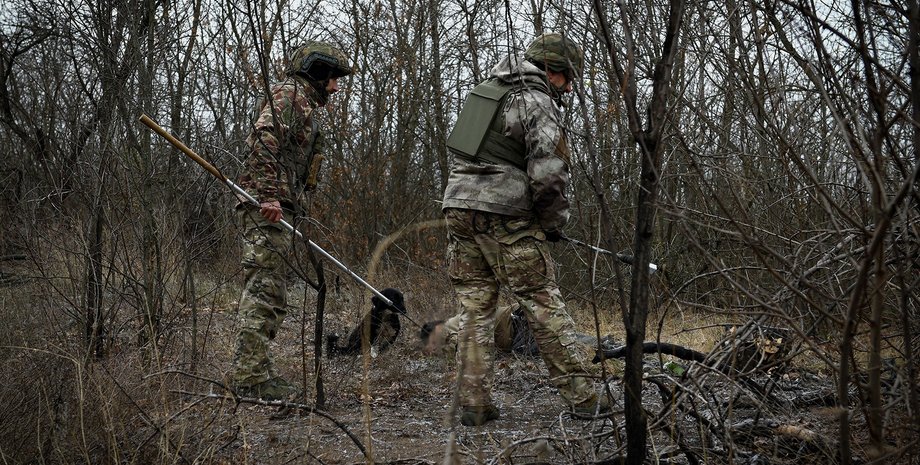 Запорізька область, детонація, грибник