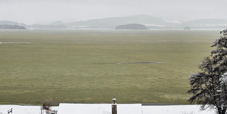 озеро цвітіння ціанобактерій