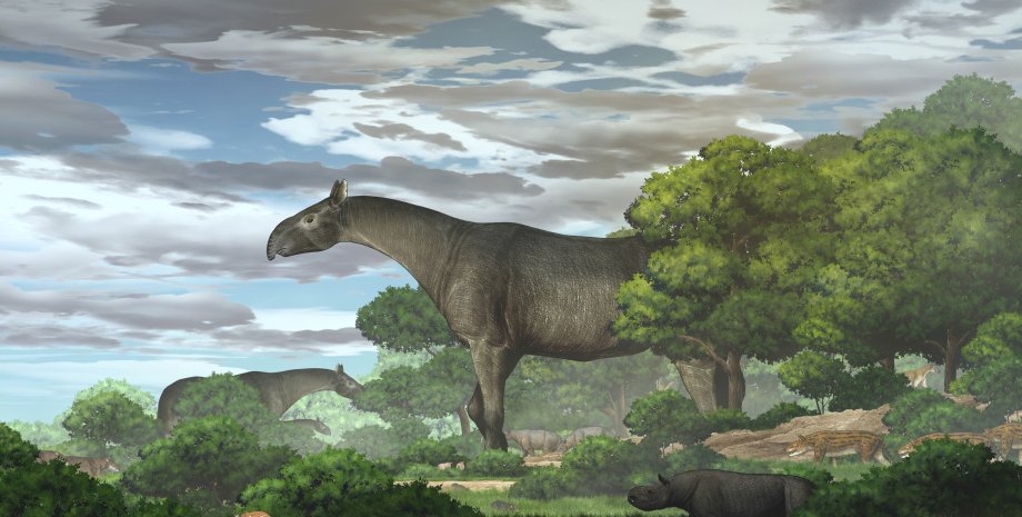 гігантський носоріг, природа, небо, дерева, малюнок