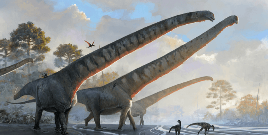 динозавр, шея, самая длинная шея, завропод