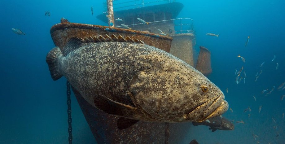 Место кораблекрушения